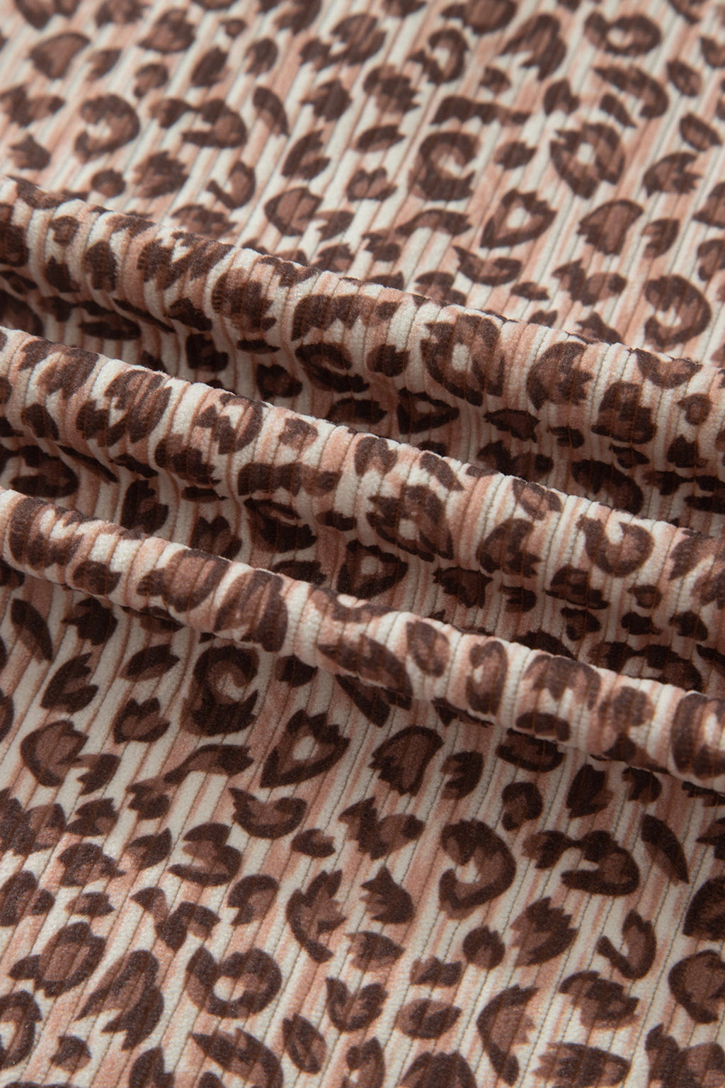 Leopard Ribbed Tee & Elastic Waist Shorts Set
