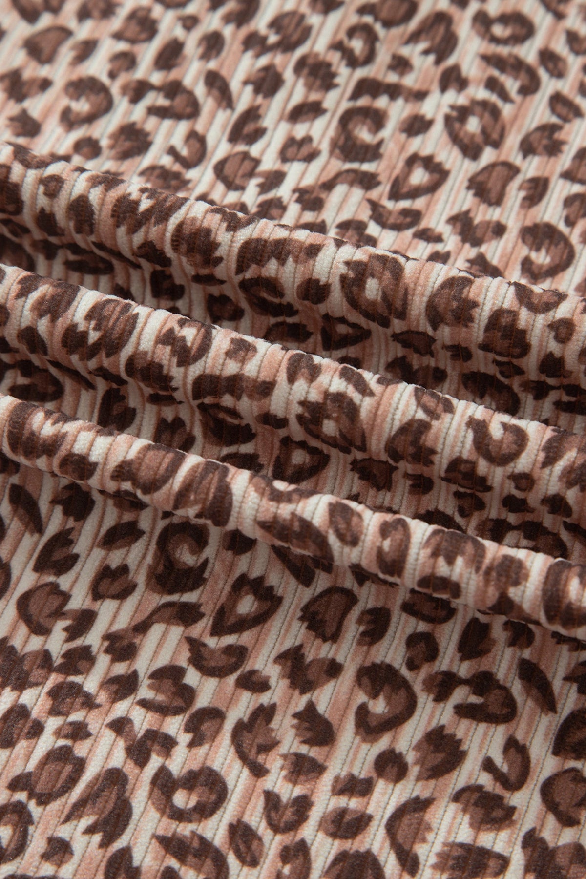 Leopard Ribbed Tee & Elastic Waist Shorts Set